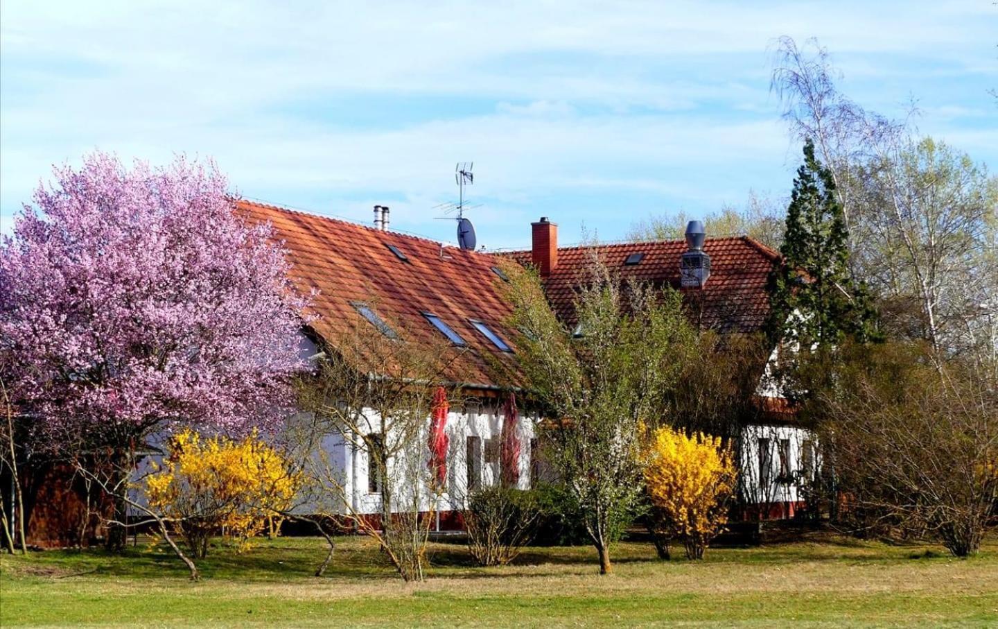 Kigyosi Csarda & Panzio Bed & Breakfast Fulopszallas Exterior photo